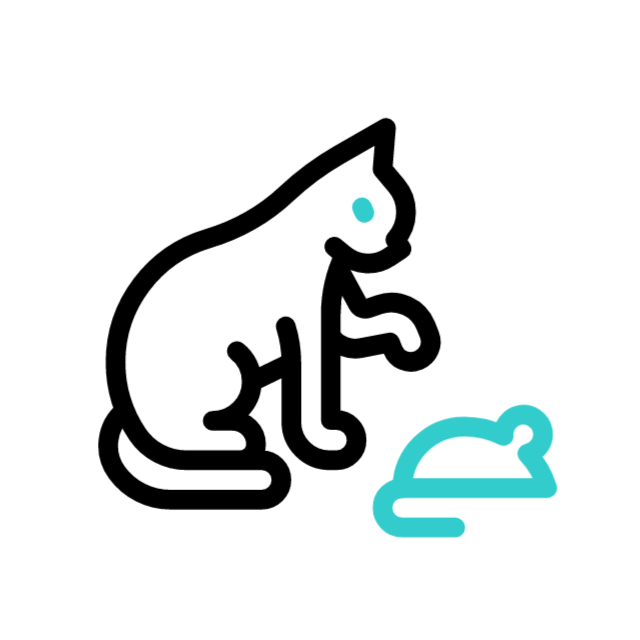 Chat Animation